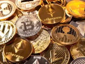 10 Top Bridge Platforms Supporting Wrapped Tokens in 2025