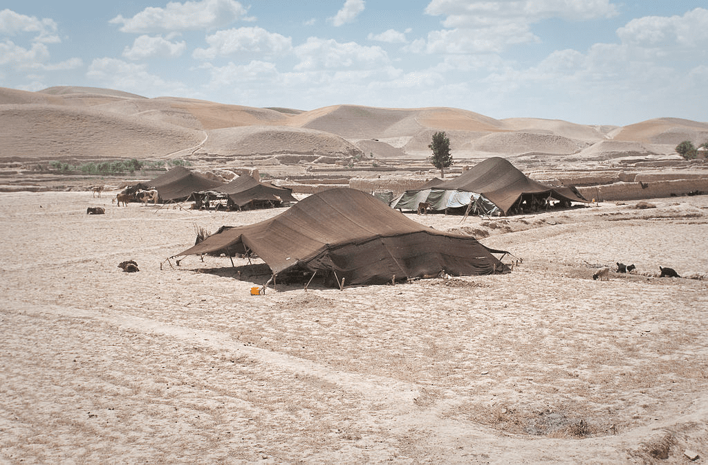 Yemen & Afghanistan
