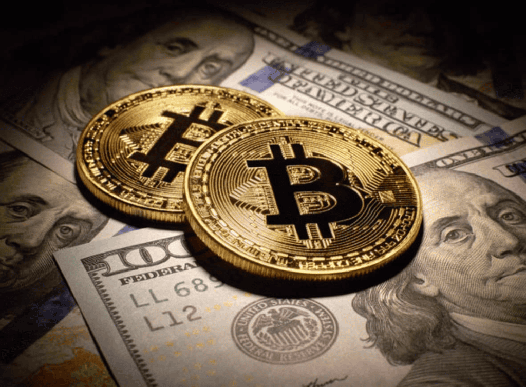 Crypto Industry News Reaction Videos